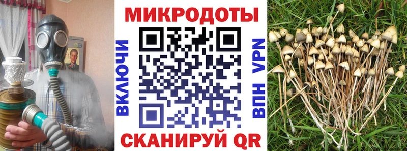 Псилоцибиновые грибы мицелий  Руза 